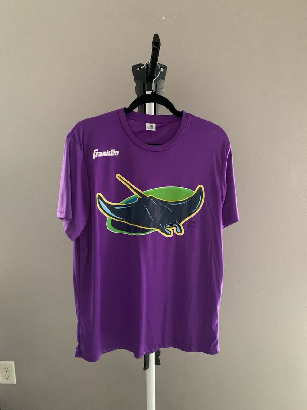 Franklin Tampa Bay Devil Rays Vintage Logo Performance T-Shirt Purple